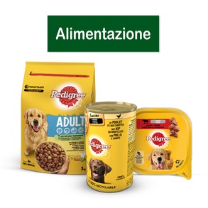 PED_Alimentazione