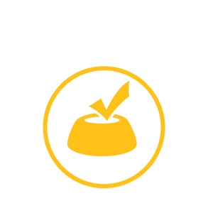 Alt Image