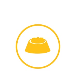 Alt Image