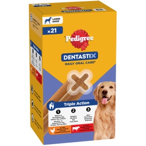 FOP_PED DENTASTIX LARGE MULTIPACK x21.Jpg