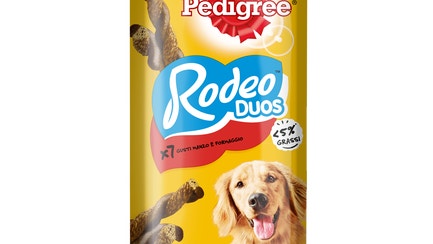 rodeo poollo
