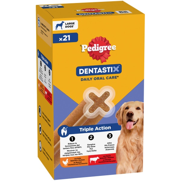 FOP_PED DENTASTIX LARGE MULTIPACK x21.Jpg